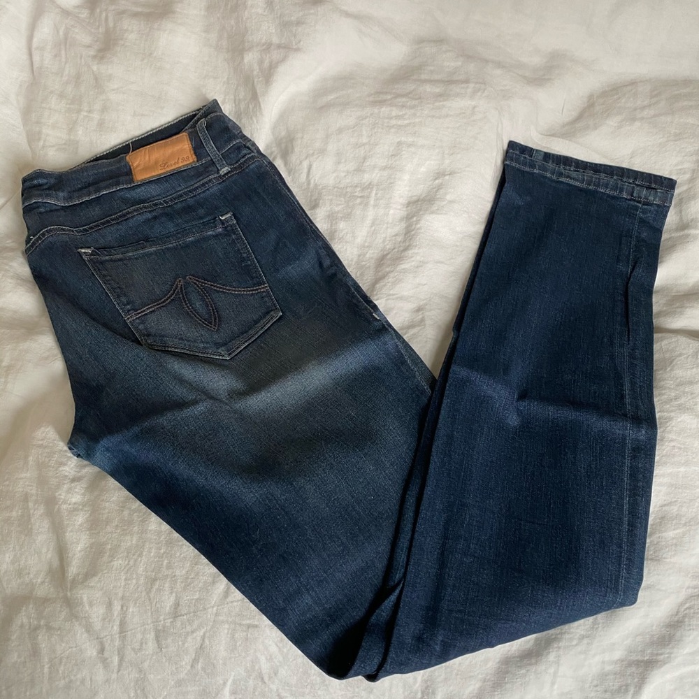 NWOT level 99 “skinny straight” jeans